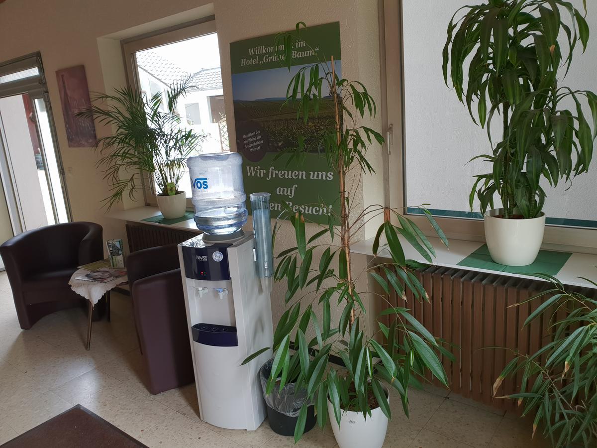 Hotel Gruener Baum Bretzenheim Εξωτερικό φωτογραφία